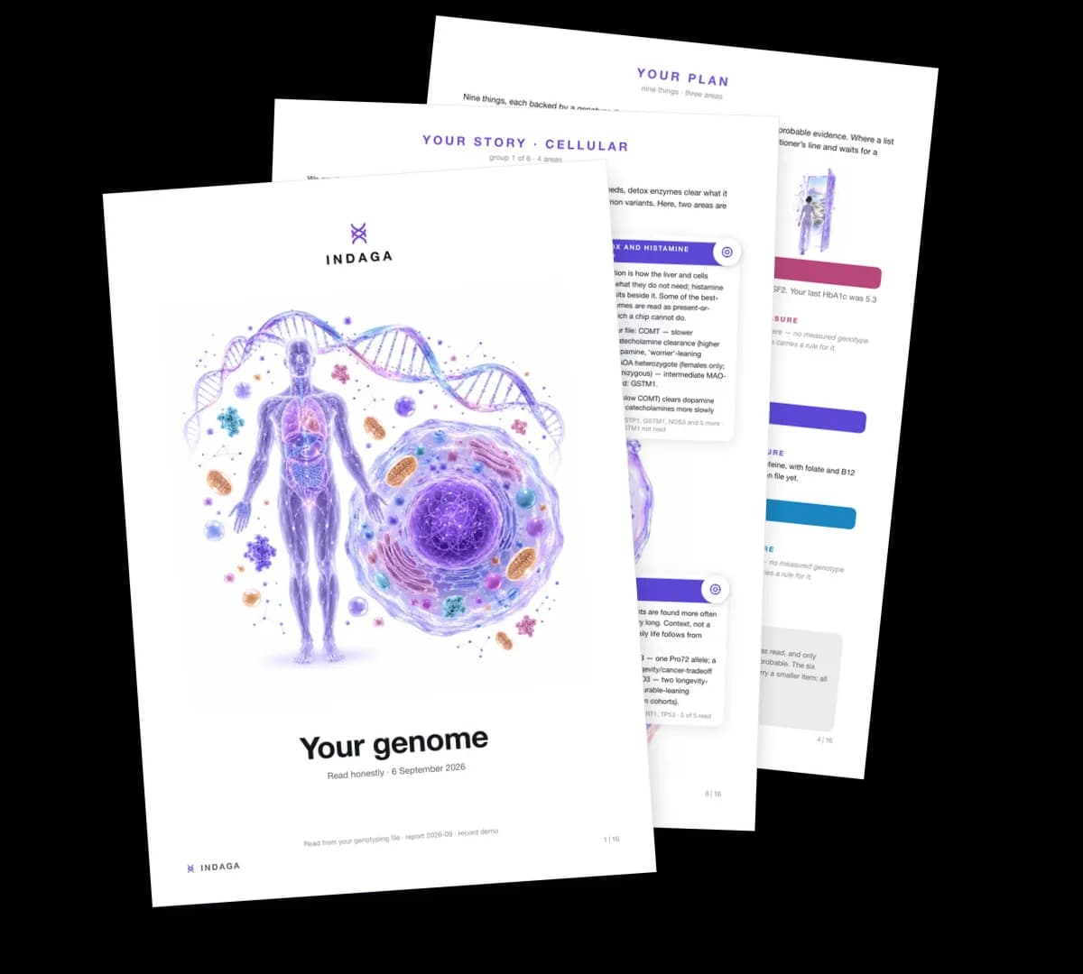Cover and pages of the synthetic sample DNA report